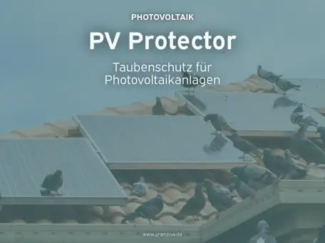PV Protector – der Taubenschutz für Photovoltaikanlagen